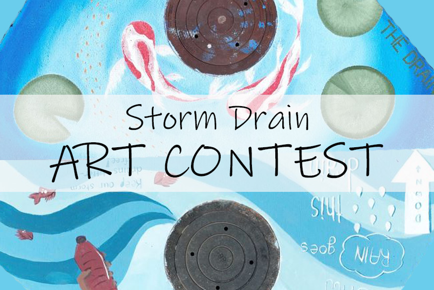 storm drain art contest 2025 graphic.jpg